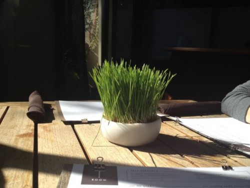 potted grass, charleston interior design ideas
