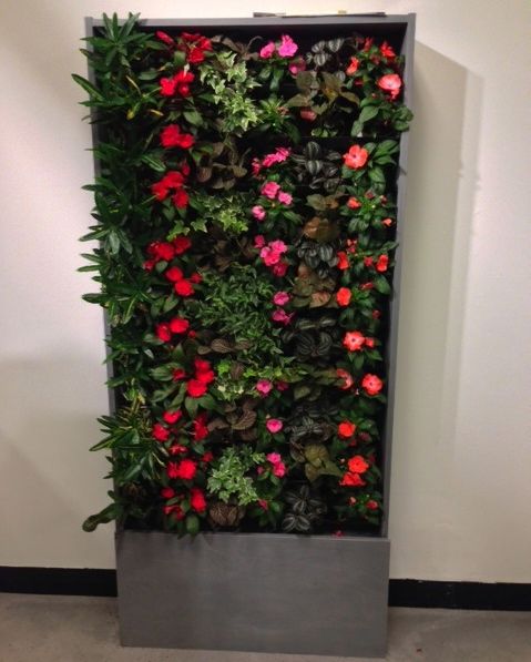 Commercial Living Wall- MDI